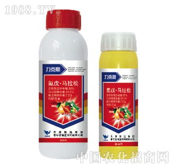 30%�����R����-����˹-���{