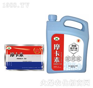 ����־����AҺ���ؼӴ���-Ħ����-��(qi��ng)о���H