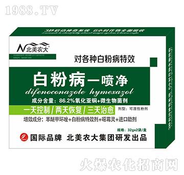 �׷۲�һ����-�����r(n��ng)��