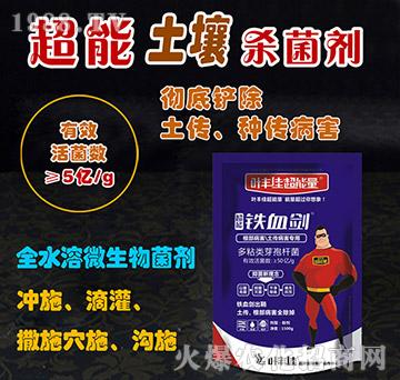 ����������������������-�FѪ��-�~�S�ѳ�����