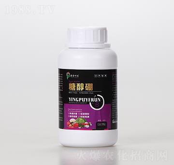 �Ǵ���-Ӣ���~��