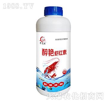 ���G�r�t��-����t