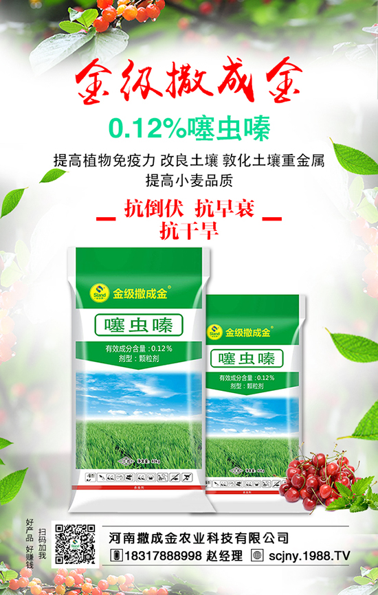 ���ˠI�B(y��ng)�S�������S��������ʩ�ʺ���Ҫ