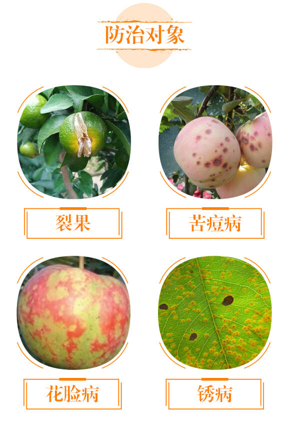 �����{(di��o)�턩-�}���V-��ؐ��_04