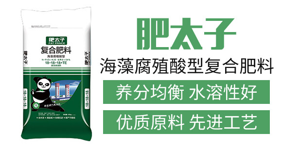 海藻腐殖酸型復(fù)合肥料18-18-18+TE-肥太子_03