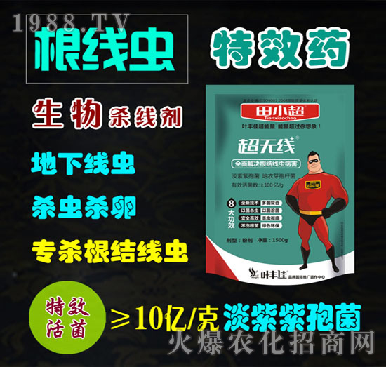 ���Y(ji��)���xˎ�������-���o(w��)��-��С��