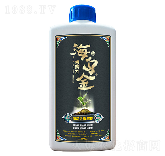 ��������ф�-��������