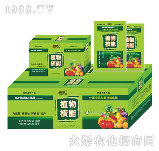 ֲ����ܴ��b-� �����