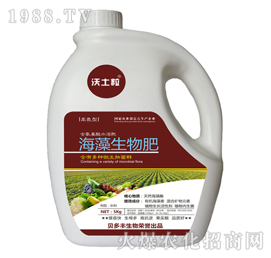 �ߵ��ͺ����������-ؐ���S