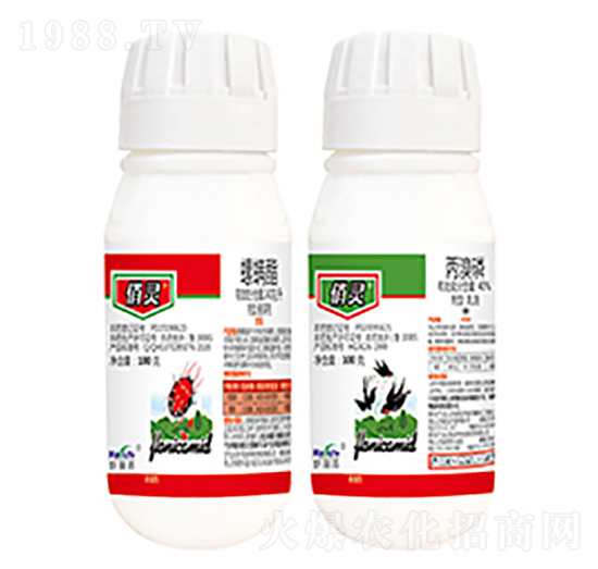 240��ÿ��������+40%������-���`-����������