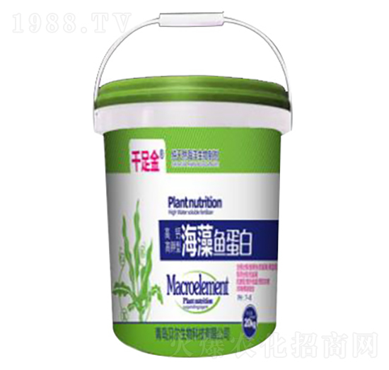 �����~����Ͱ��-ǧ���