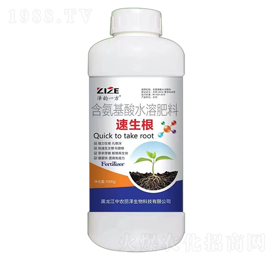 ������-���һ��-���r���