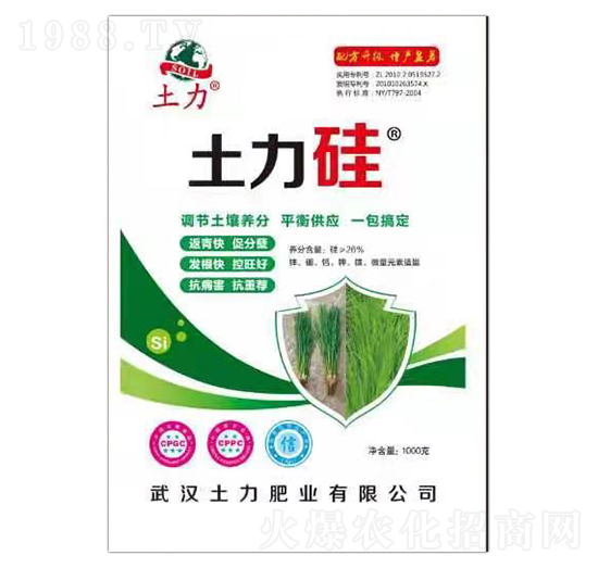 ������-�����ʘI(y��)