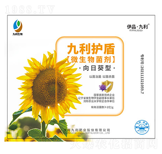 ���տ���΢�������-����