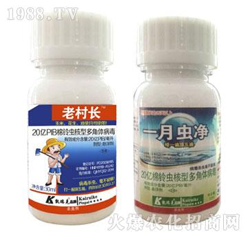 ����x(ch��ng)���Ͷ���w����-�ϴ��L(zh��ng)+һ�_��-�P���