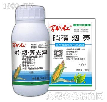 24%���ǡ�����ݬ-�f(w��n)���t-�G��