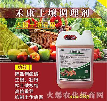 �̿����������{(di��o)�턩-�w���G��