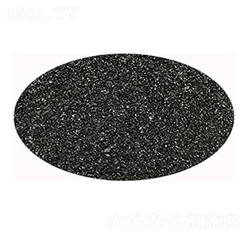 ���Ƹ�ֲ���-ʥ��һ��