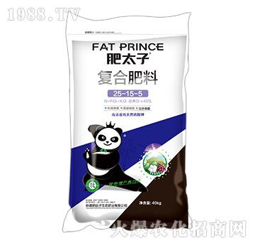 �ͺϷ���25-15-5-��̫��