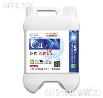 �W��(y��u)�����w�}-�f��