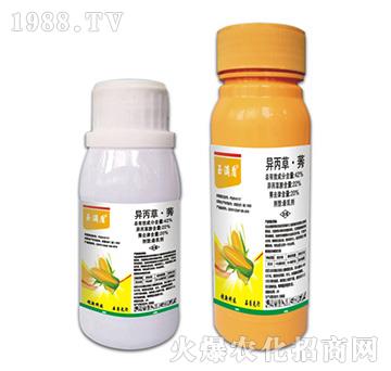 42%�����ݡ�ݬ-��M(m��n)��-�ݵ�˹