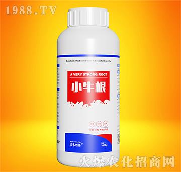 Сţ��-����