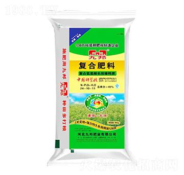 �ͺϷ���24-10-11-�Ű�