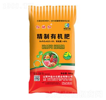 �����ЙC����-�tӳ�t-���}��