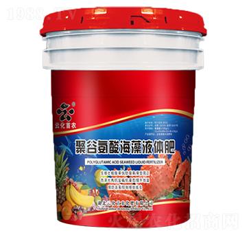 聚谷氨酸海藻液體肥-云化首農(nóng)