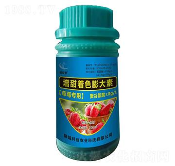 ��ݮ����������ɫ�����-�Ƅ�(chu��ng)�r�I(y��)