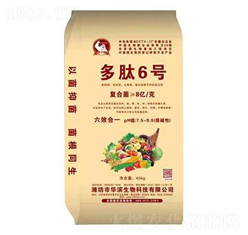 ����6̖-����r�I(y��)