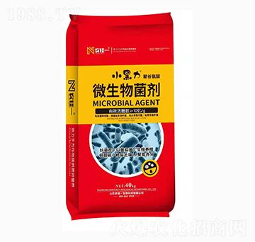 ΢������� С���� �r(n��ng)��һ