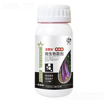 ƿ�b�а߲�����΢�������-ʥ���r-��ʥ�r�I(y��)