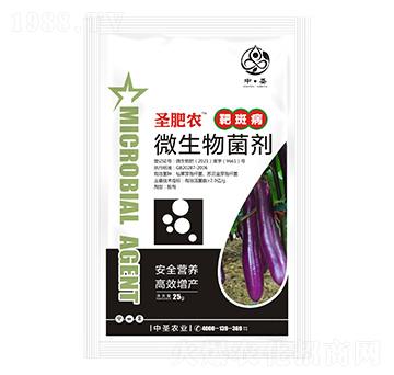 �а߲�����΢�������-ʥ���r-��ʥ�r�I(y��)