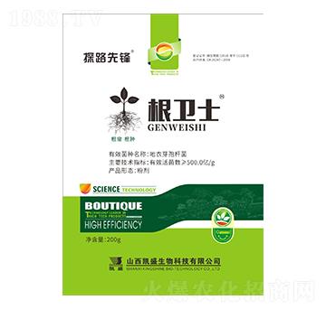 200g���l(w��i)ʿ-̽·���h-�Pʢ�ʘI(y��)