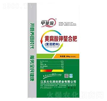 �S��������Ϸ�-��ؐ��-�󻯝���