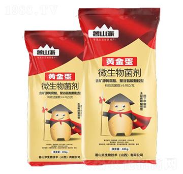 �S��΢�������-��ɽ��