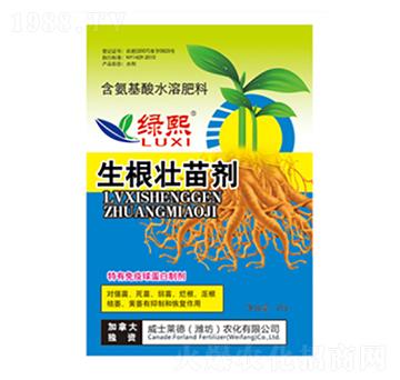 �������焩�����b��-�G��-��ʿ�R��