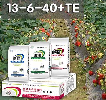 ����(r��n)����Ԫ��ˮ�ܷ�13-6-40+TE-ِ��