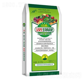 12�������ЙC��-����-��������