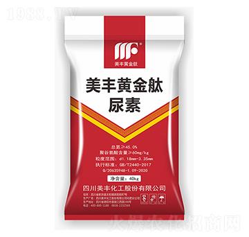 ���S�S���v����-���S����