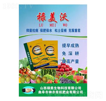 ΢�������-������-��������