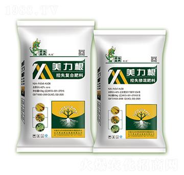 ������ȫ���Ϳ�ʧ��(f��)�Ϸʡ������-�����ʘI(y��)