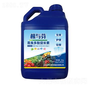 ���x���Ĵ��L��-���cѿ-��������