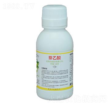 ������-�����S