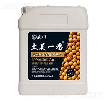 ����һ�������;���-ɭ��-����