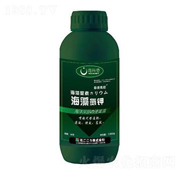 ���嵪�-������