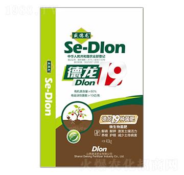 ����19�N΢�������-������-�����ʘI(y��)