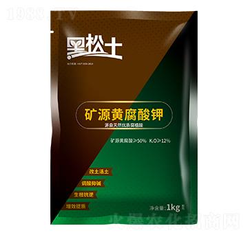 �VԴ�S�����-������-�r�����B(t��i)