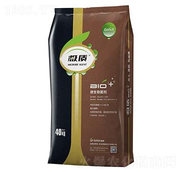 �O�|(zh��)΢����������p�����������{������-�ۃ�